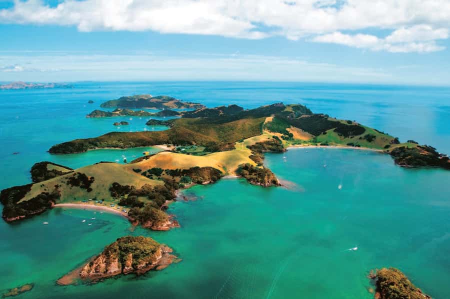 From Auckland: Full-Day Tour to the Bay of Islands - Guide quality can make or break the drive