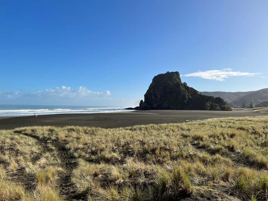 From Auckland: Guided Tour of Piha with Scenic Beach Walks - Key highlights in plain terms