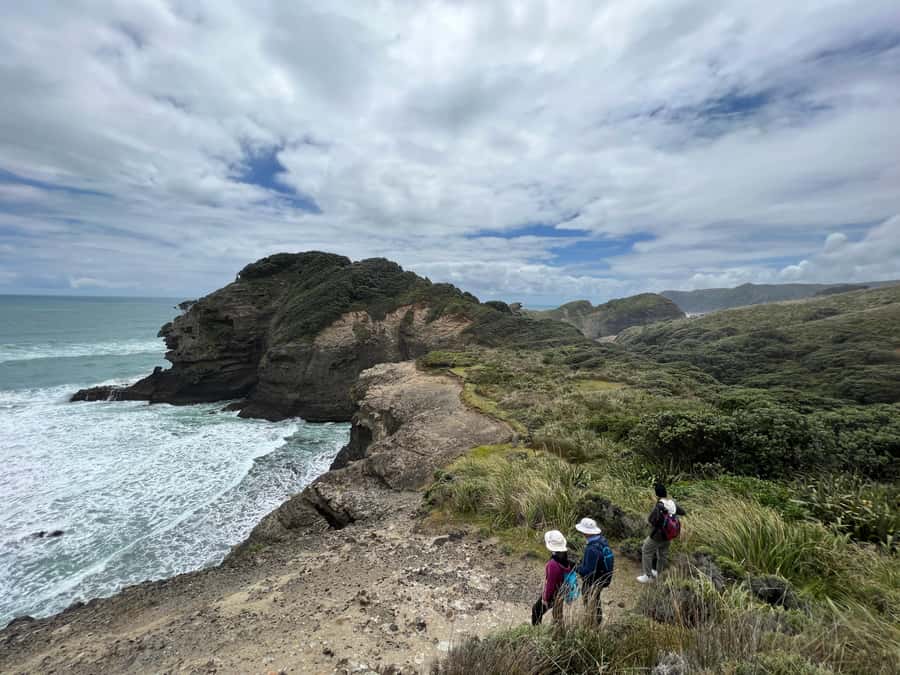 From Auckland: Guided Tour of Piha with Scenic Beach Walks - Value check: what you get for a West Coast day from Auckland