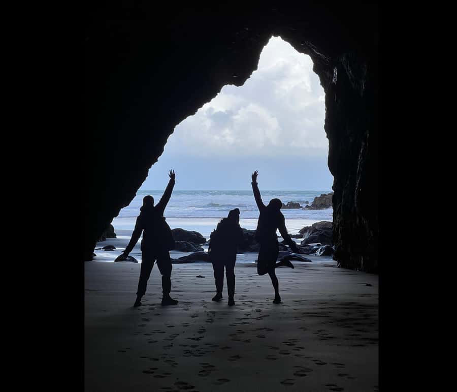 From Auckland: Guided Tour of Piha with Scenic Beach Walks - Black sand and sea caves: the fun, the work, and the barefoot option
