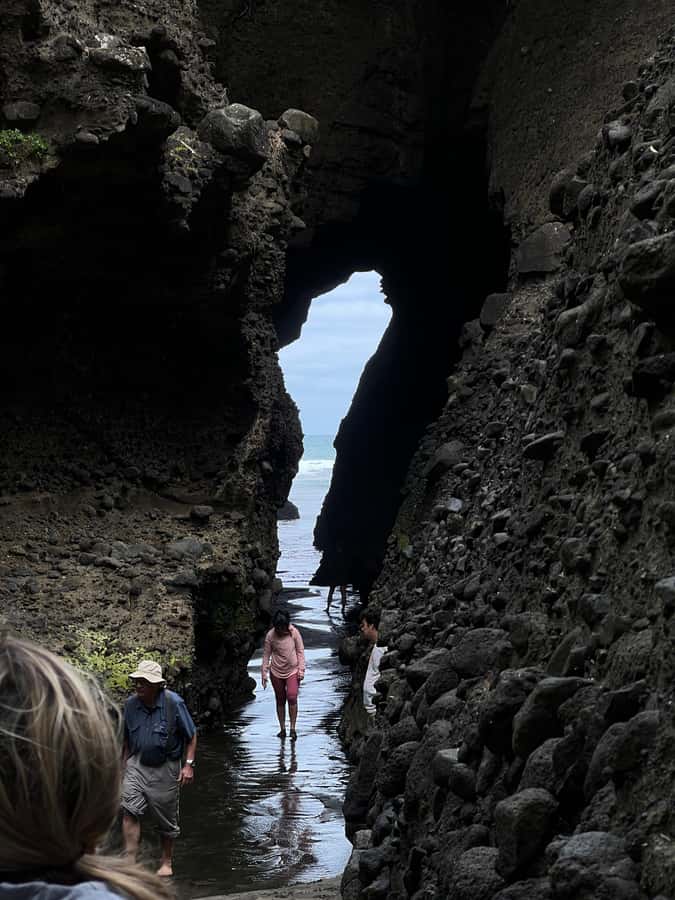From Auckland: Guided Tour of Piha with Scenic Beach Walks - Beachside picnic and snacks that keep the day from dragging