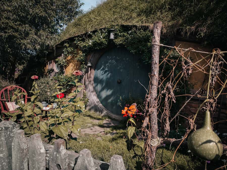 From Auckland: Hobbiton Afternoon Tour - Key highlights worth planning for