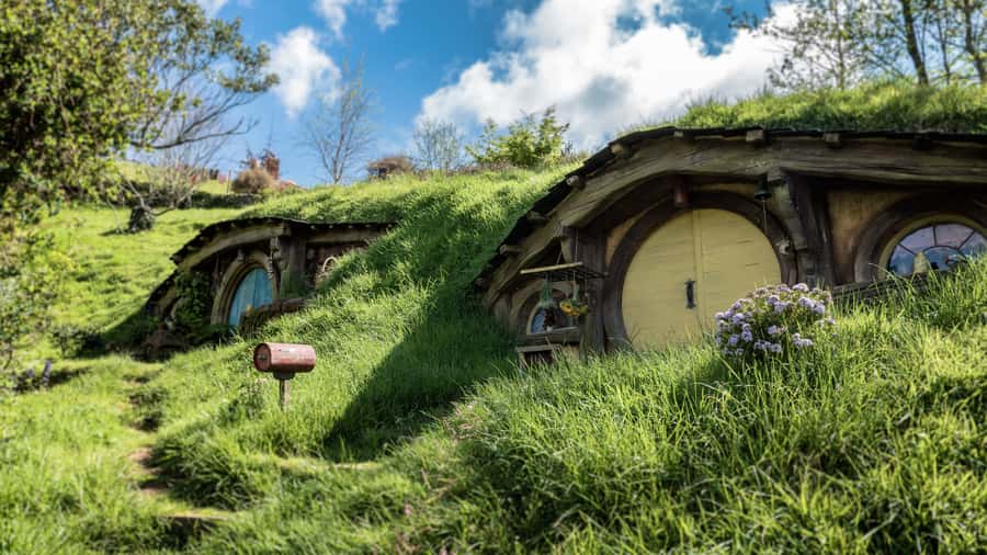 From Auckland: Hobbiton Afternoon Tour - The Waikato Drive: Cattle and Dairy Country Sets the Scene
