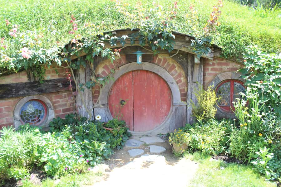 From Auckland: Hobbiton Afternoon Tour - One-Way to Rotorua and Other Practical Notes You Should Know