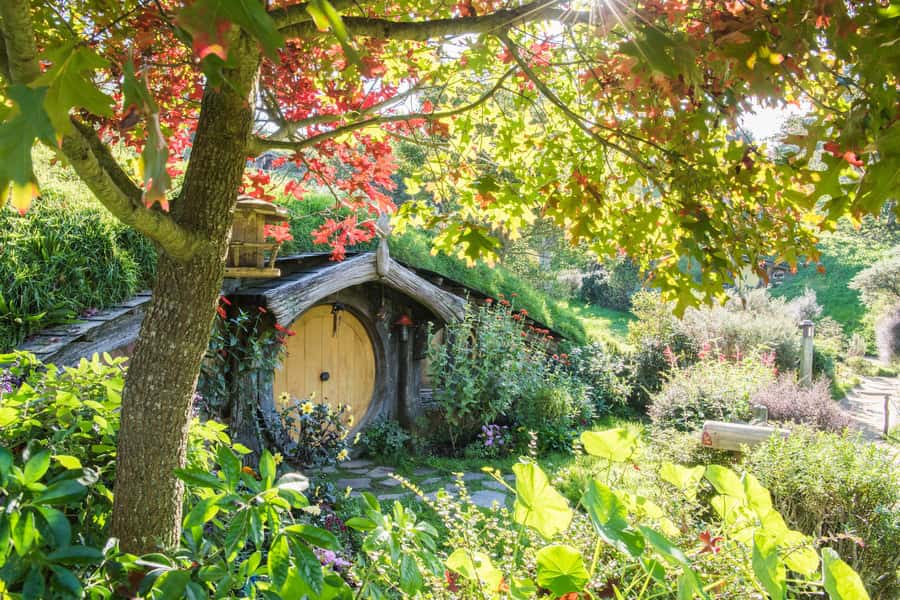 From Auckland: Hobbiton and Waitomo Day Tour with Lunch - From Inner City Auckland to Middle Earth, How the Day Flows