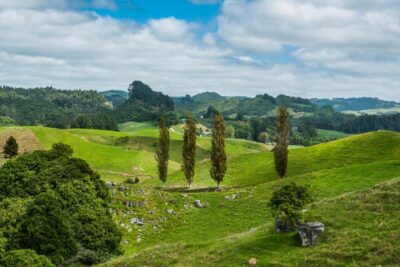 Hobbiton and Waitomo Day Tour with Lunch