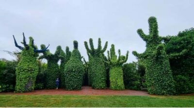 Hobbiton & Hamilton Gardens Small Group Tour