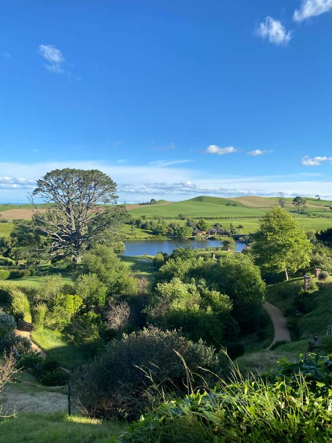 From Auckland: Hobbiton & Hamilton Gardens Small Group Tour - Why Hobbiton feels good even if you are not a movie superfan