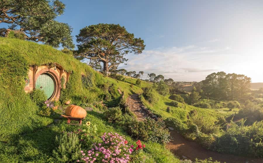From Auckland: Hobbiton Movie Set Day Tour with Picnic Lunch - Why Alexander Family Sheep Farm and Shire’s Rest Matters
