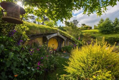 Hobbiton Movie Set Full-Day Small-Group Trip