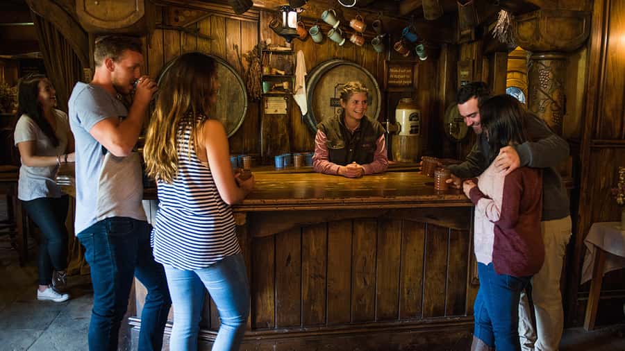 From Auckland: Hobbiton Movie Set Small Group Tour - Timing, walking, and comfort on a full-day schedule