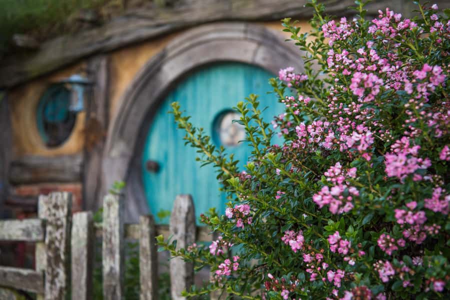 From Auckland: Hobbiton Movie Set Trip with Guided Tour - Who should plan differently