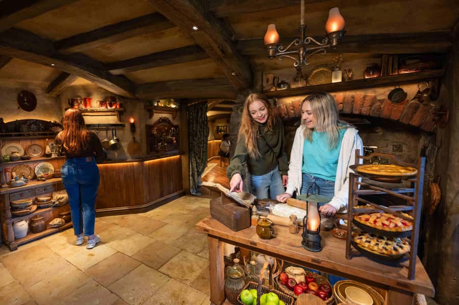 From Auckland: Hobbiton Movie Set Trip with Guided Tour - Mercedes van transport, plus a driver who keeps the day on track