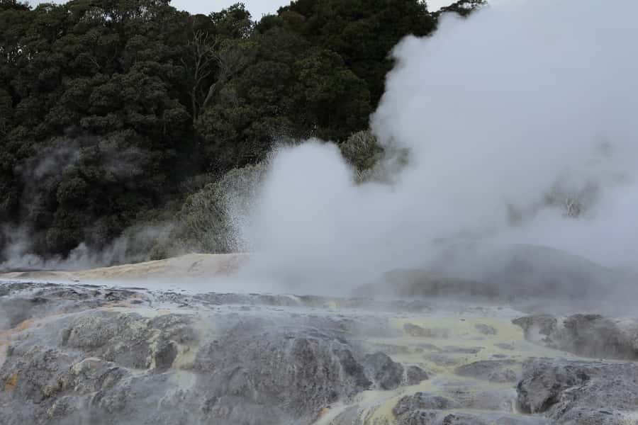From Auckland: Hobbiton & Rotorua Tour with Lunch at Te Puia - One-Way to Rotorua: A Smart Way to Stretch Your Trip