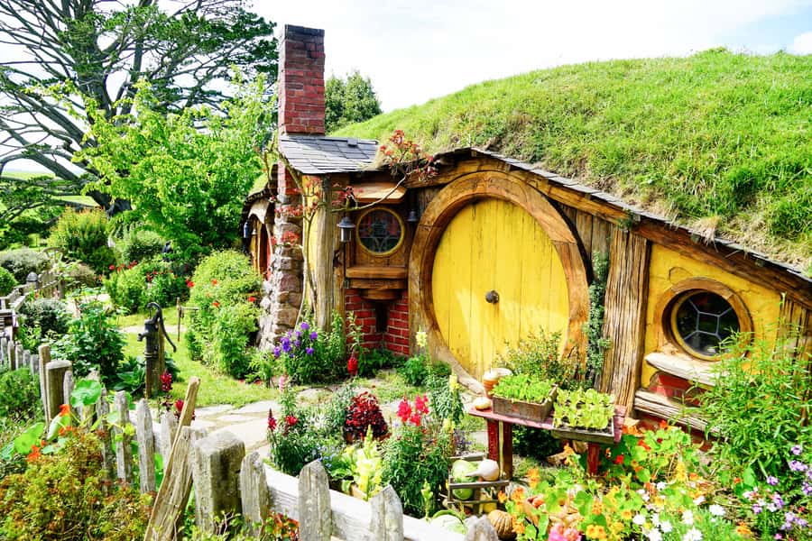 From Auckland: Hobbiton & Rotorua Tour with Lunch at Te Puia - A Long Day With Two Big Icons From Auckland