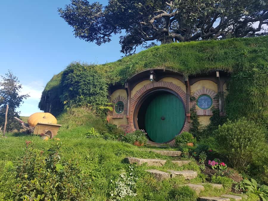 From Auckland: Hobbiton & Rotorua Tour with Lunch at Te Puia - The Road Trip Between Waikato and the Bay of Plenty