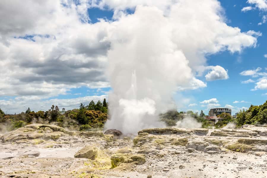 From Auckland: Hobbiton & Rotorua Tour with Lunch at Te Puia - Green Dragon Inn: The Included Drink That Changes the Mood