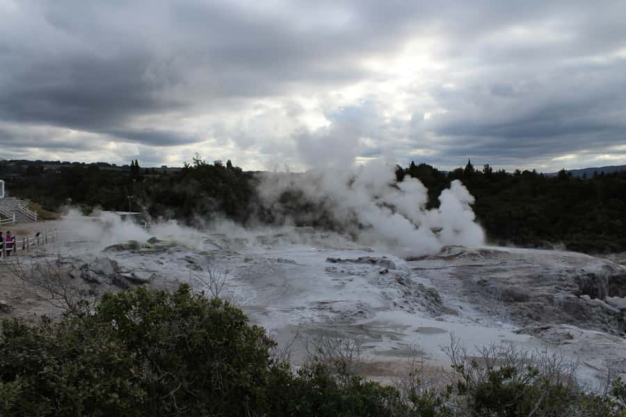 From Auckland: Hobbiton & Rotorua Tour with Lunch at Te Puia - Te Puia Buffet Lunch: Good Food, Know What You’re Getting