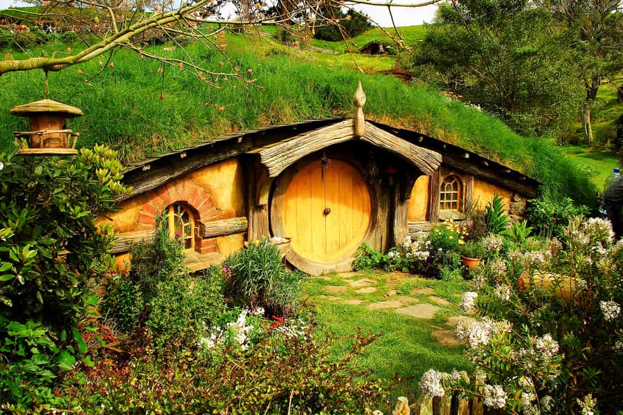 From Auckland: Hobbiton & Rotorua Tour with Lunch at Te Puia - Timing and Pace: What the 10 to 13 Hours Really Feels Like