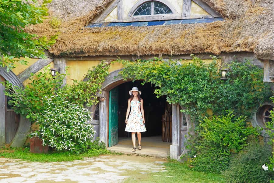 From Auckland: Hobbiton & Rotorua Tour with Lunch at Te Puia - Pickup and Small-Group Transport: Fewer Seats, Less Hassle