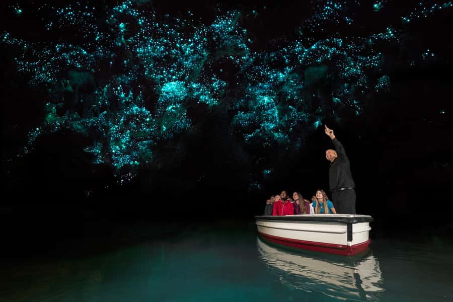 From Auckland: Hobbiton & Waitomo Caves Day Trip with Lunch - Should you book this Hobbiton and Waitomo day trip?