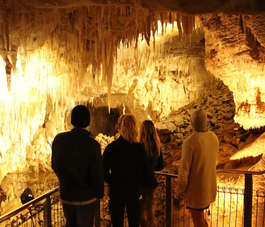 From Auckland: Hobbiton & Waitomo Caves Full-Day Trip - Who this tour suits best, and who should reconsider