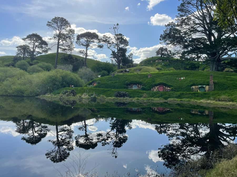 From Auckland: Hobbiton, Waitomo Caves & Kiwi House Tour - A 12-hour Auckland icon-hopping day, with real momentum
