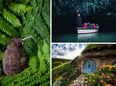 Hobbiton, Waitomo Caves & Kiwi House Tour