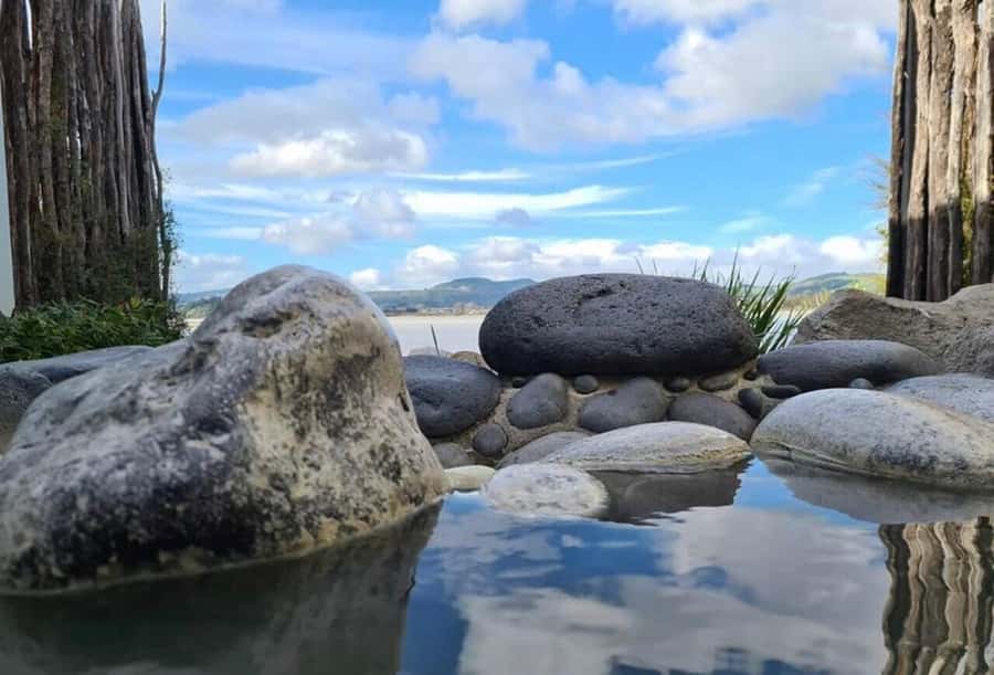 From Auckland: Rotorua Māori Village & Hot Springs with Haka - Tips to get the most out of the day