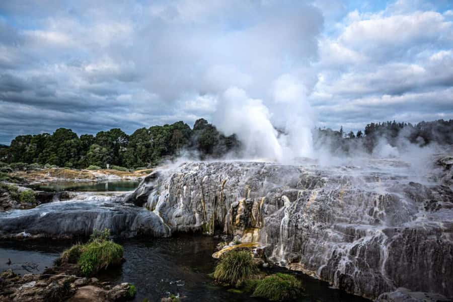 From Auckland: Rotorua Te Puia, Haka & Polynesian Spa Tour - Key highlights worth your attention