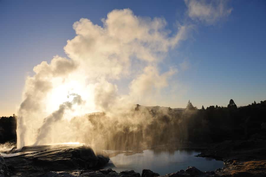 From Auckland: Rotorua Te Puia, Haka & Polynesian Spa Tour - Te Puia’s geysers: why Pohutu is the star of the show