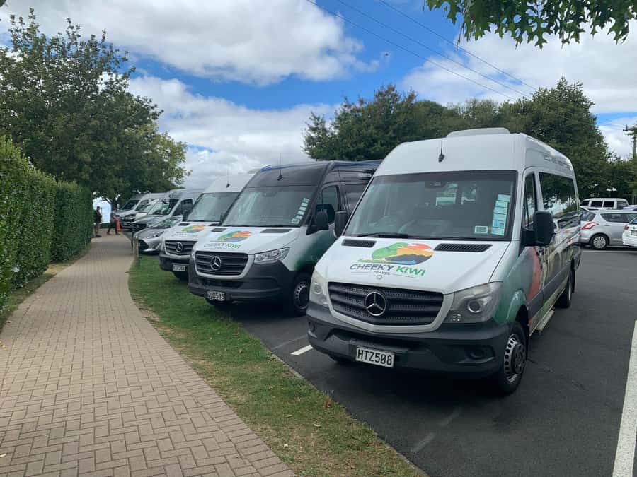 From: Auckland: Rotorua via Hobbiton Tour One Way Tour - The road to Rotorua: Tīrau, Fitzgerald Glade, and arriving ready