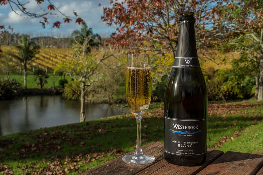 From Auckland: Small Group Kumeu Wine Tour with Lunch - Key things to look forward to
