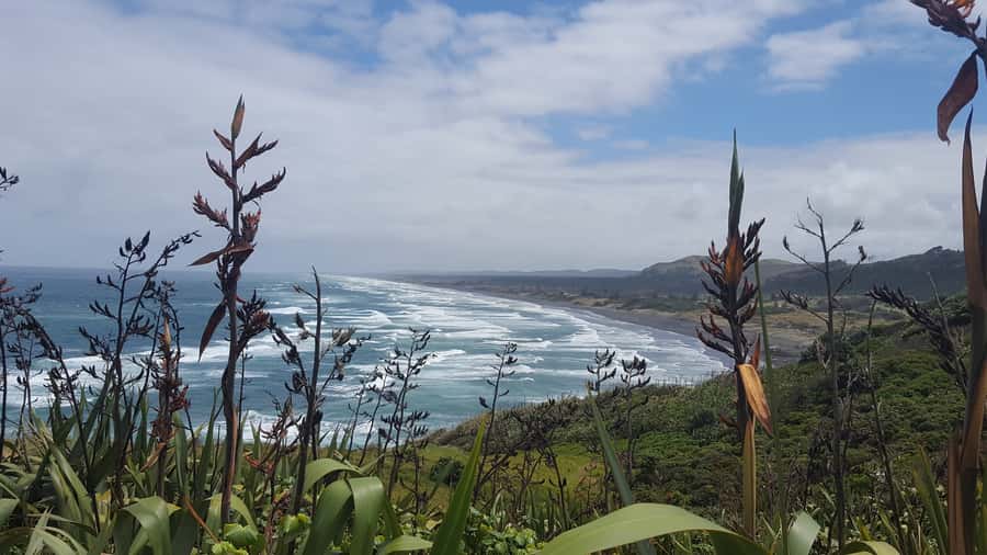 From Auckland: Small Group Kumeu Wine Tour with Lunch - Price and value: what $185 really covers