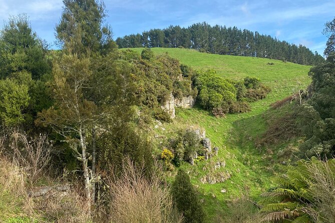 From Auckland: Spellbound, Waitomo Glowworm Cave Small Group Tour - The Otorohanga lunch stop: where to eat without losing your day