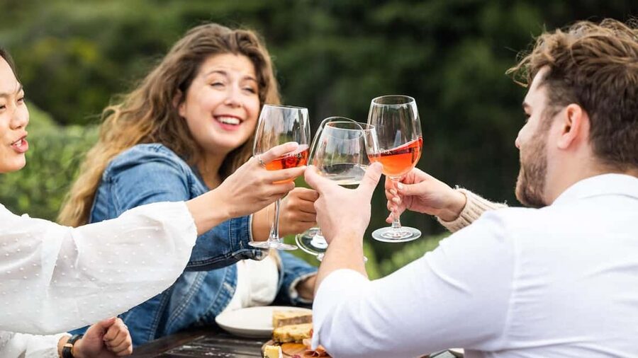 From Auckland: Taste Of Waiheke Island Day Tour - Who this day tour is best for (and who should skip it)