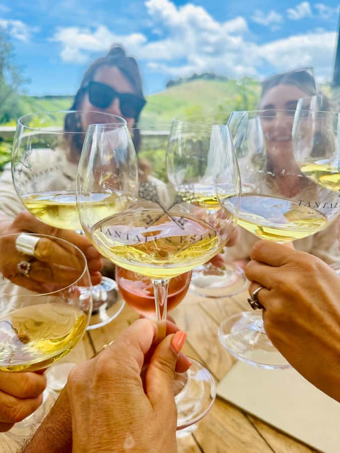 From Auckland: Waiheke Island Wineries' Tour - Up to 10 People and a Local Guide You’ll Actually Talk To