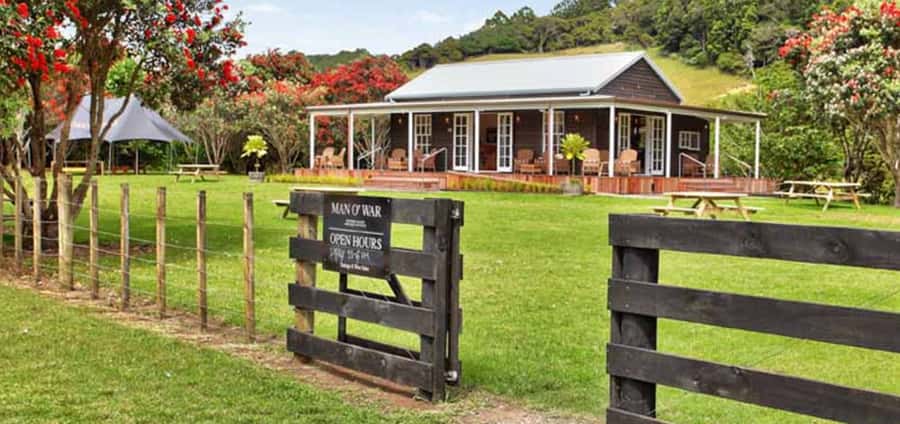 From Auckland: Waiheke Island Wineries' Tour - Price and Value: Is $110 a Fair Deal?