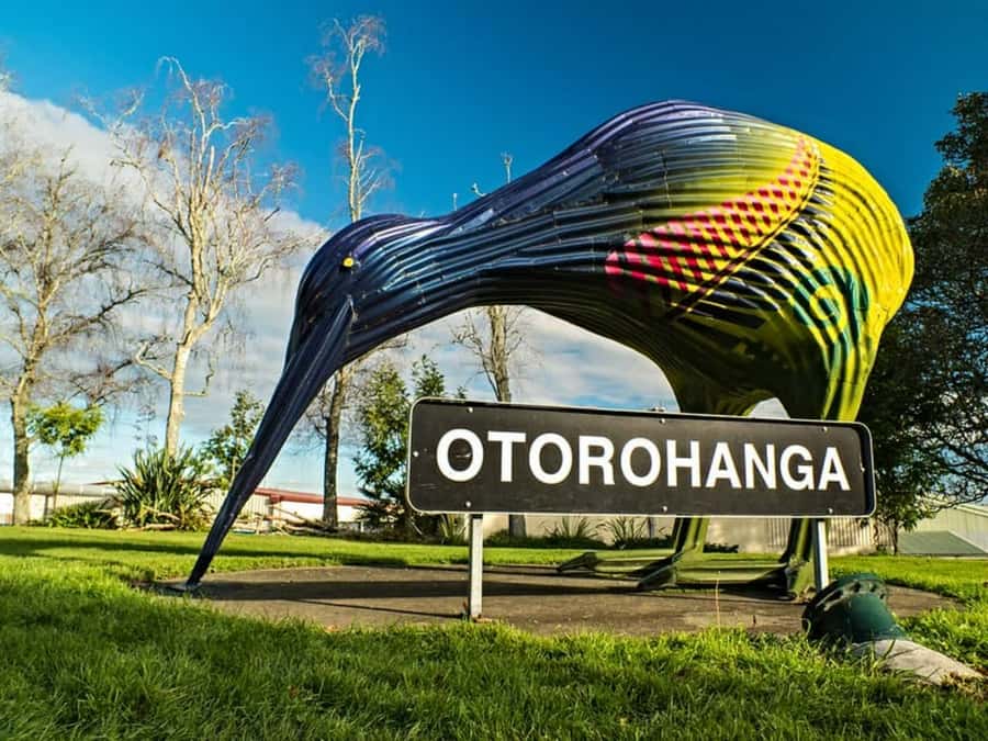 From Auckland: Waitomo Caves and Kiwi House Group Tour - Tuatara plus native birds: why this second stop is more than a bonus
