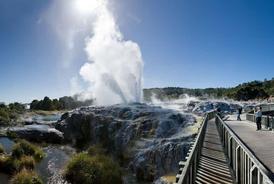 From Auckland: Waitomo Glow Worm Caves & Rotorua Tour - Should you book it?