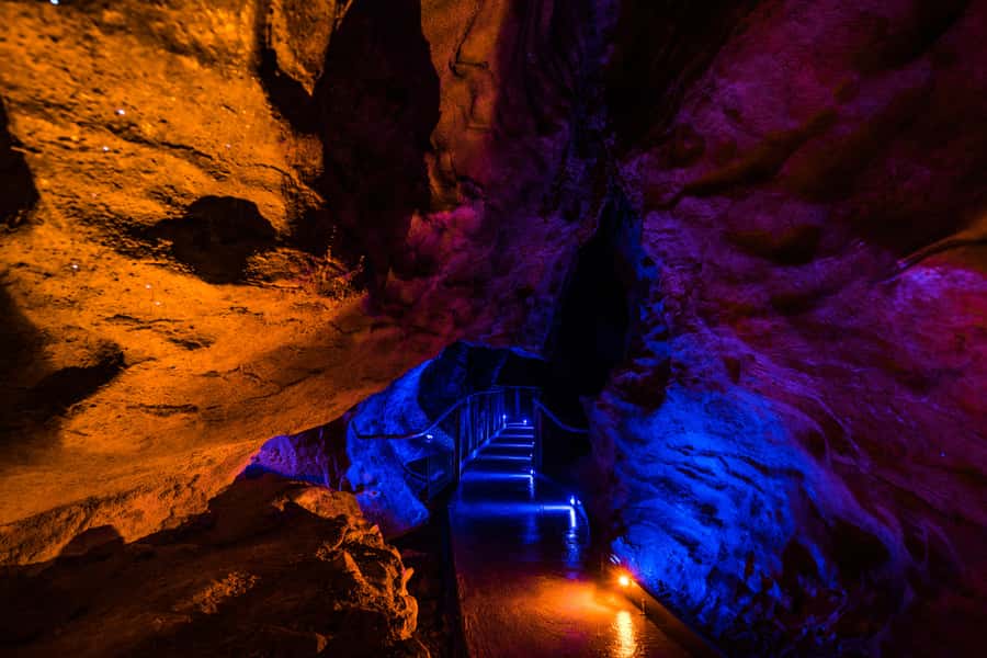 From Auckland: Waitomo Glowworm and Ruakuri Caves Day Tour - Key things to know before you go