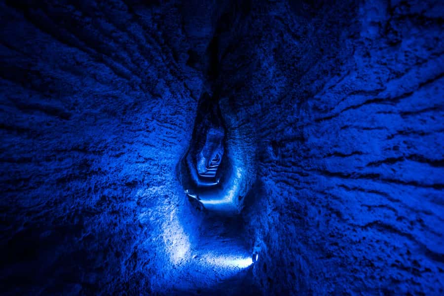 From Auckland: Waitomo Glowworm and Ruakuri Caves Day Tour - Waitomo Glowworm Caves: Arachnocampa luminosa and the boat ride moment