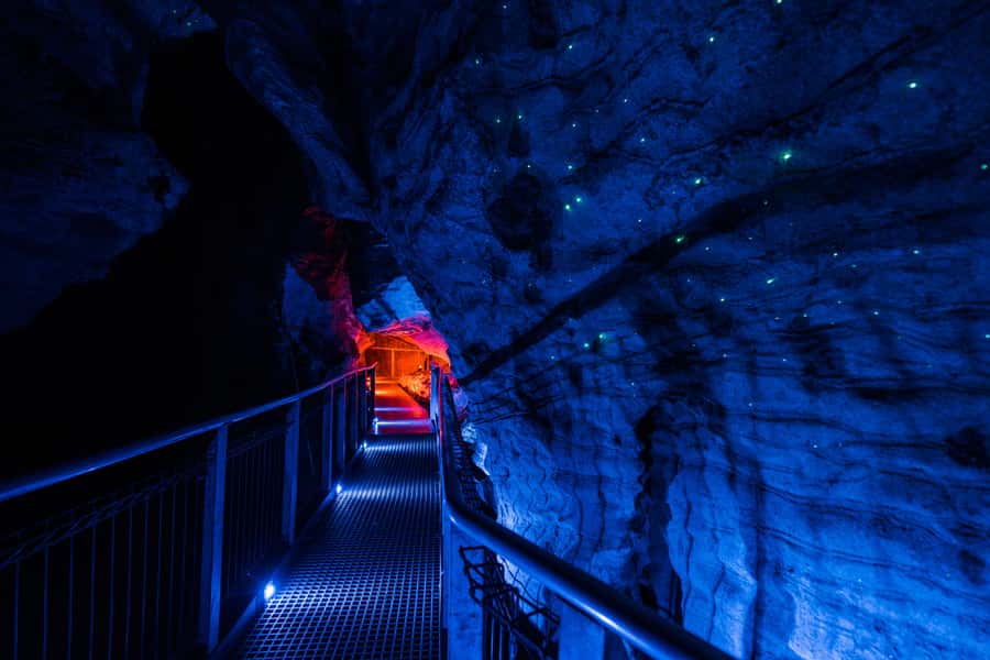 From Auckland: Waitomo Glowworm and Ruakuri Caves Day Tour - Ruakuri Cave walking tour: spiral entry, limestone shapes, and photo time