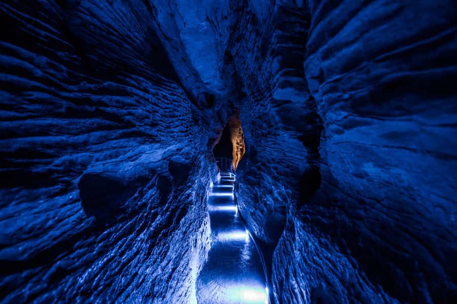 From Auckland: Waitomo Glowworm and Ruakuri Caves Day Tour - Fitness and comfort: what the cave walking actually requires