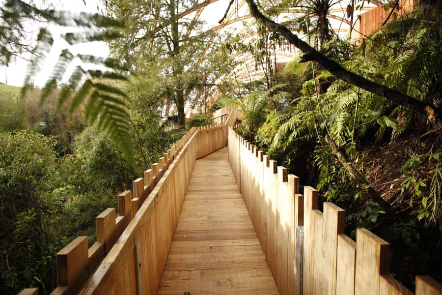 From Auckland: Waitomo Glowworm and Ruakuri Caves Day Tour - What to pack for Waitomo and Ruakuri, so you are not cold or annoyed