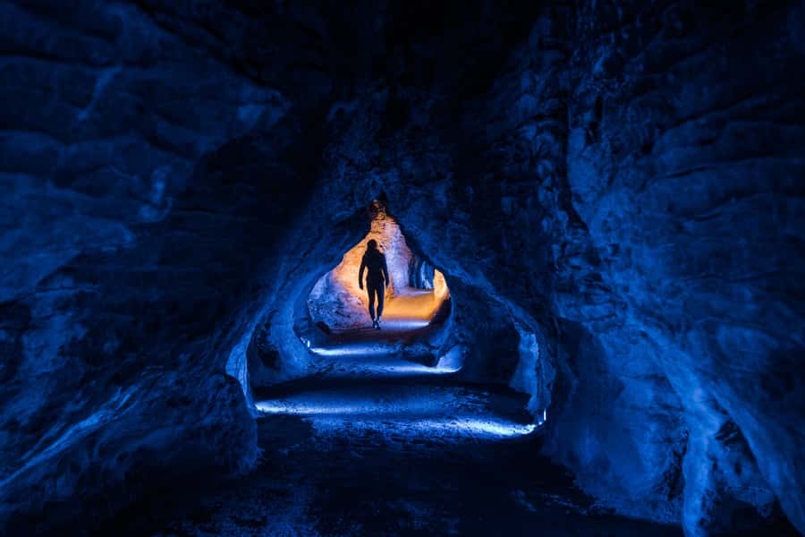 From Auckland: Waitomo Glowworm and Ruakuri Caves Day Tour - Who should book this tour, and who should choose another plan