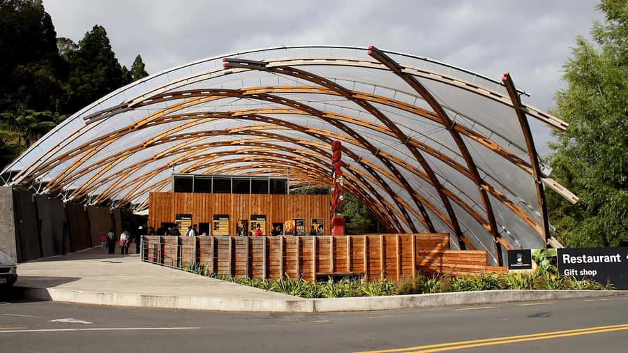 From Auckland: Waitomo Glowworm Cave Tour - Key things that make this tour worth your time