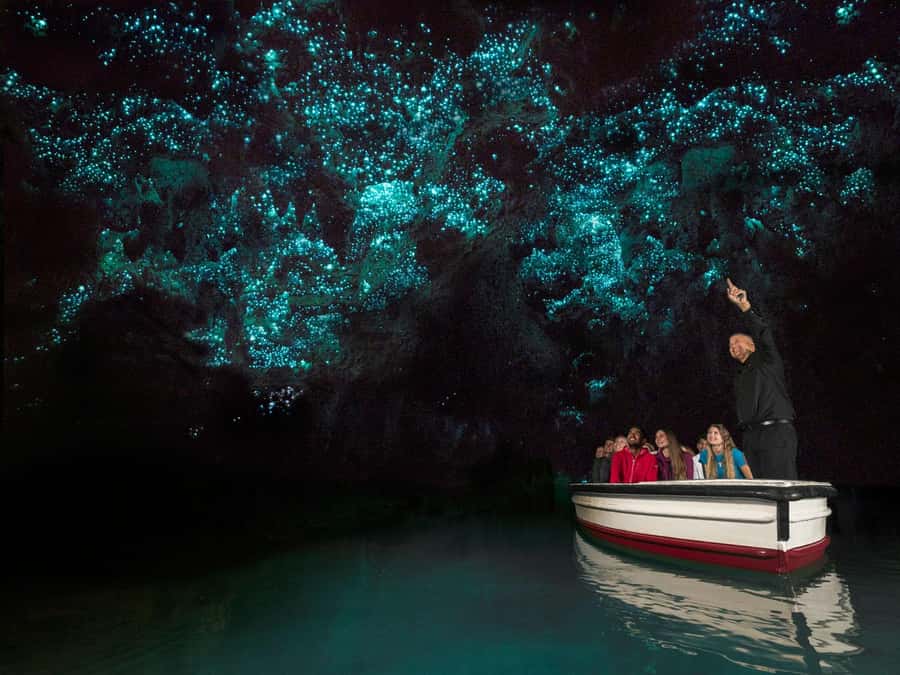 From Auckland: Waitomo Glowworm Cave Tour - From Auckland to Waitomo: your 7-hour cave day plan