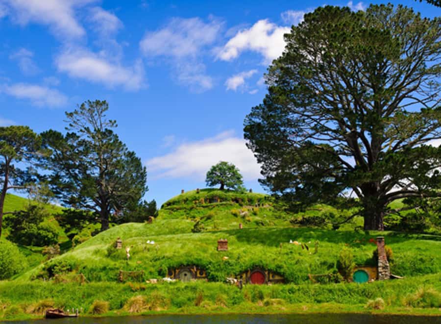 From Auckland: Waitomo & Hobbiton Bus Tour with Lunch - Quick hits before you go