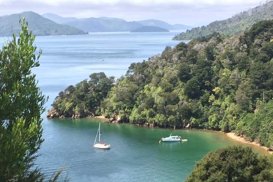 From Blenheim/Picton: Marlborough Gourmet Wine Tasting Tour - A Marlborough day that feels personal, not factory-tour fast